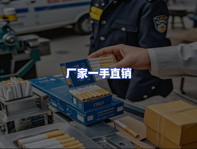 专业团队